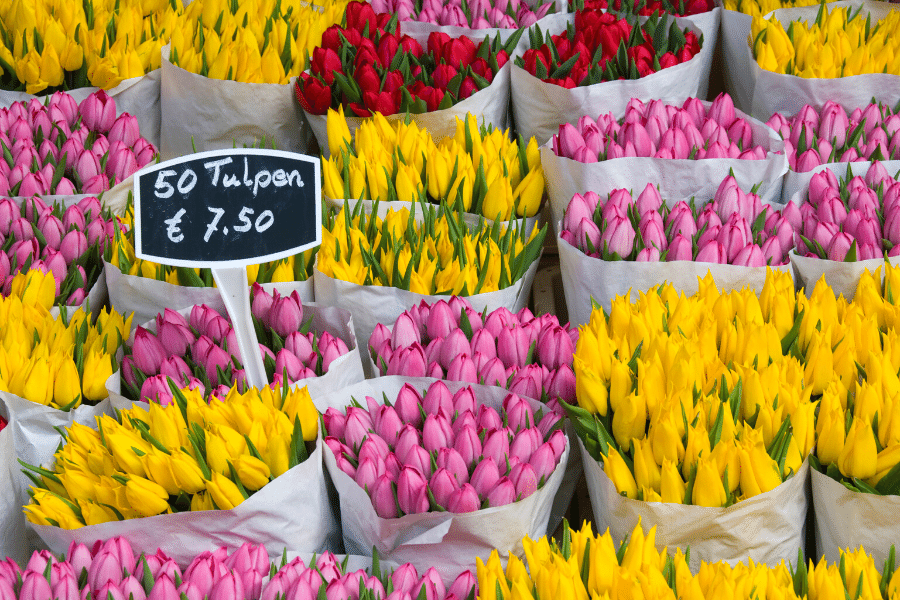 Flower Market in Amsterdam