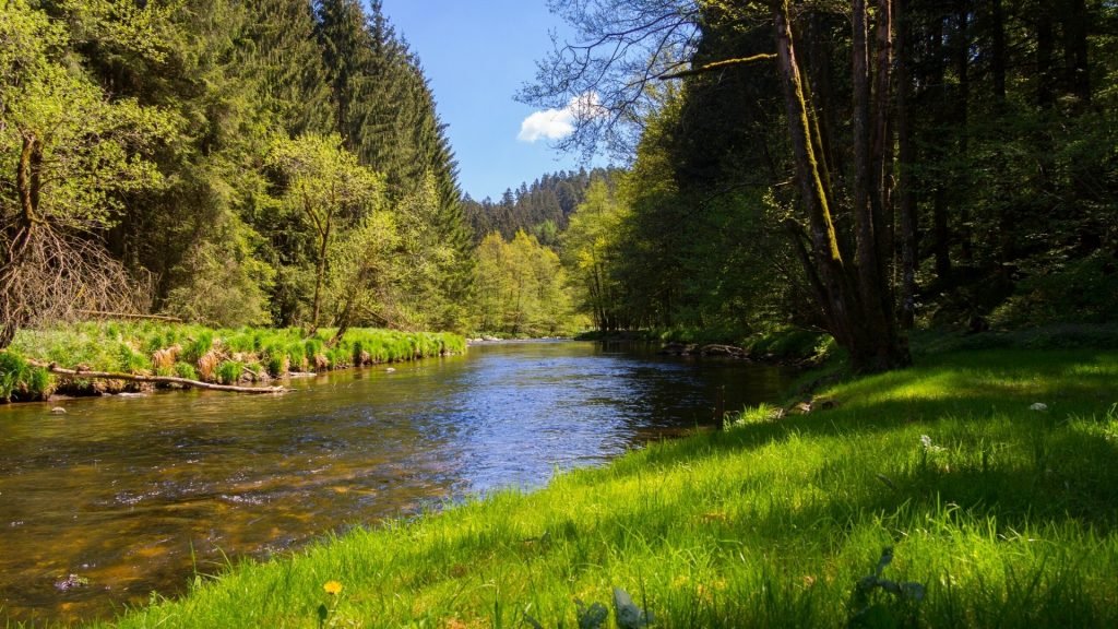 Bavarian forest and river