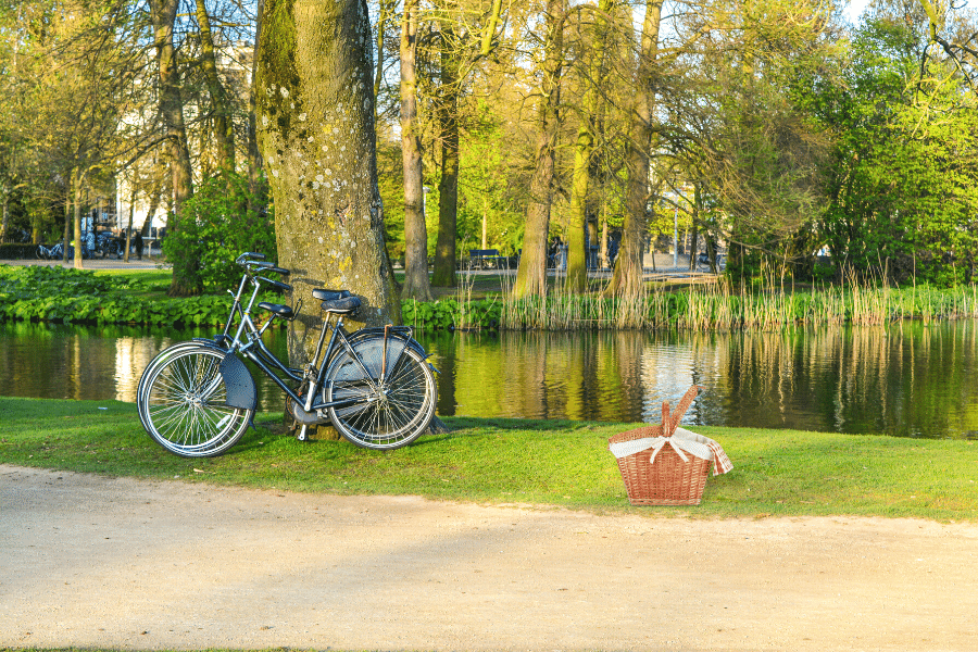 amsterdam Vondelpark picnic